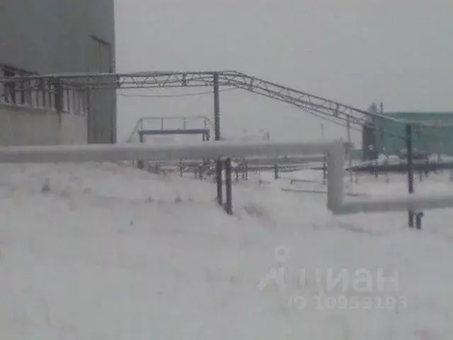 Помещение свободного назначения в Ямало-Ненецкий АО, Надымский район, ... - Фото 1