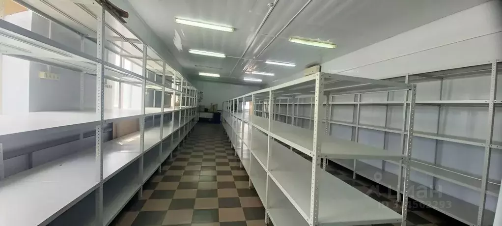 Помещение свободного назначения в Краснодарский край, Динской район, ... - Фото 1