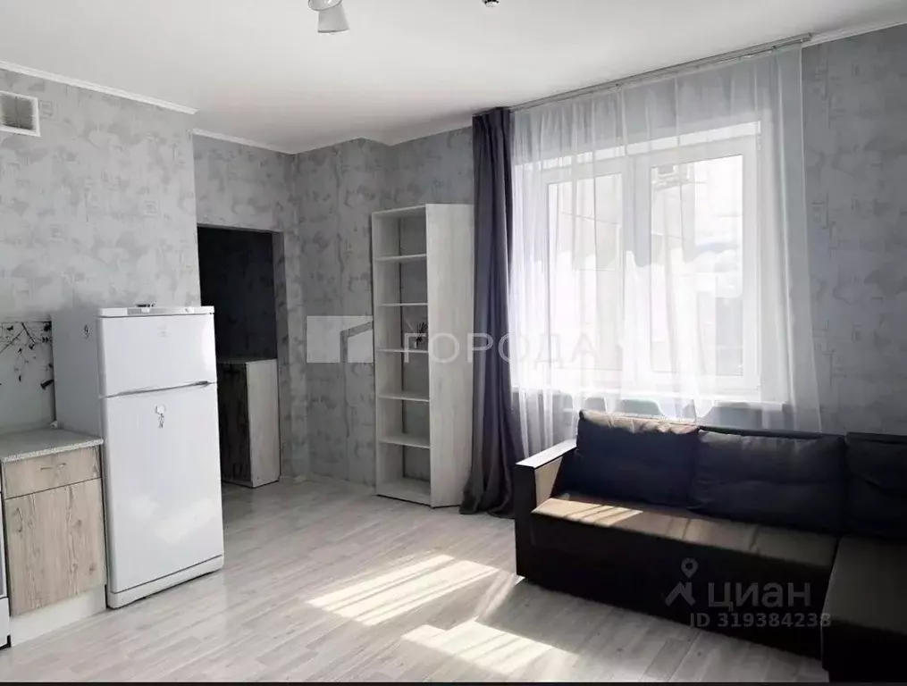 Студия Новосибирская область, Новосибирск ул. Фрунзе, 49/1 (27.0 м) - Фото 1