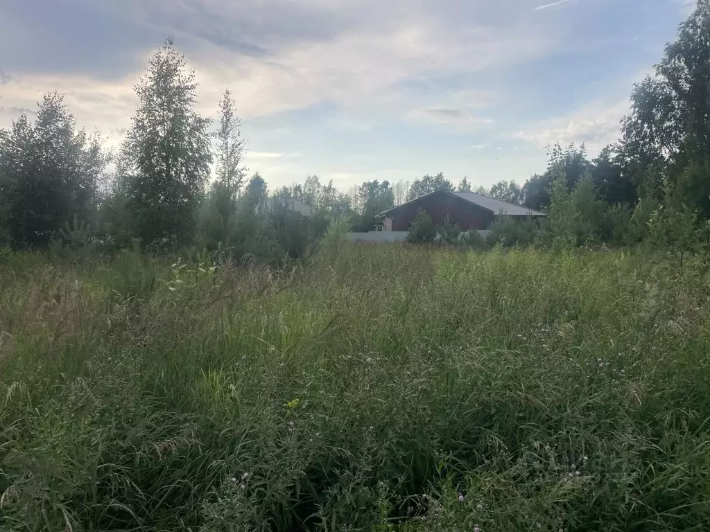 Участок в Московская область, Раменский муниципальный округ, Жилой ... - Фото 2