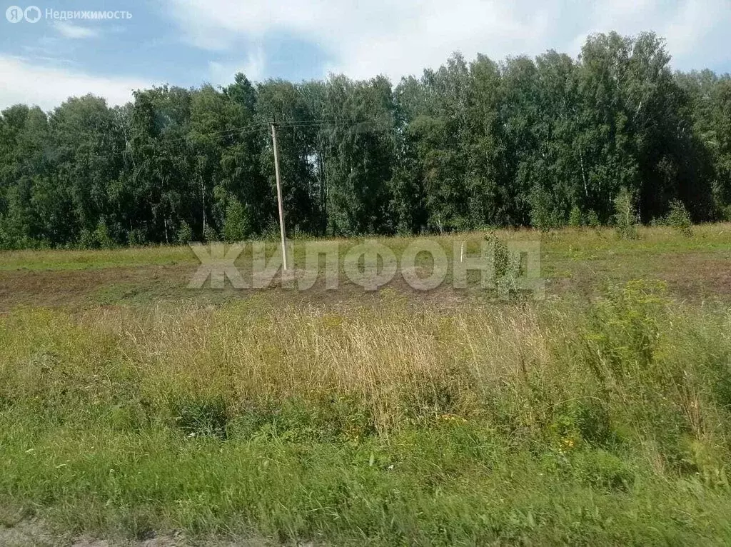 Участок в Кубовинский сельсовет, ДНТ Большой Барлак (11 м) - Фото 0