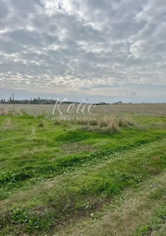 Участок в Крым, Феодосия муниципальный округ, с. Береговое ул. ... - Фото 1