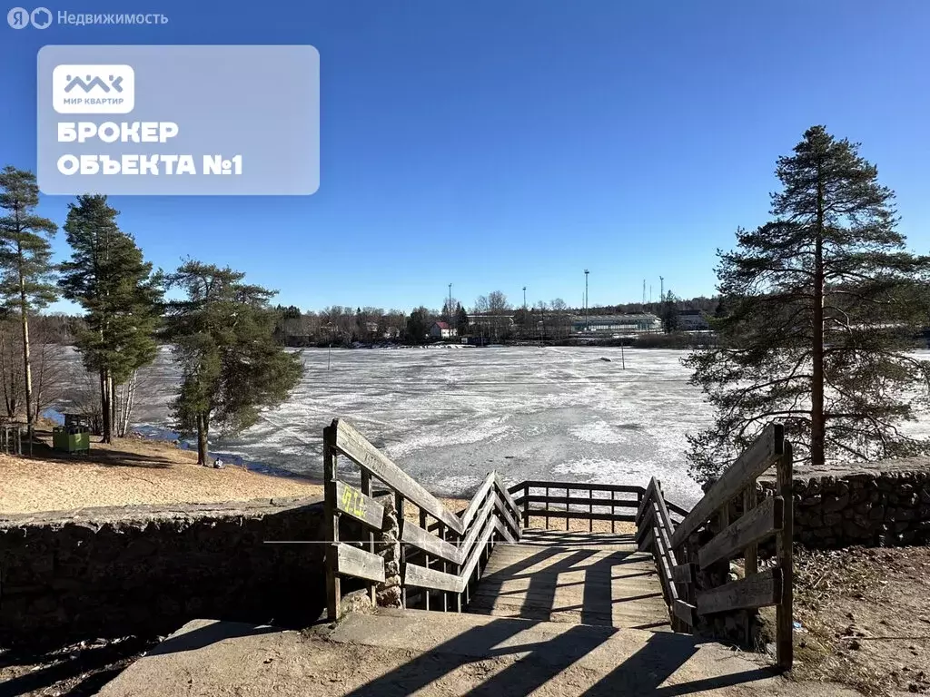 Квартира-студия: городской посёлок Рощино, ЖК Резиденция Рощино (35.56 ... - Фото 2