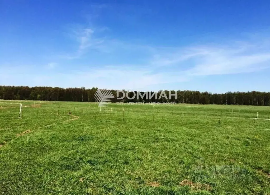 Участок в Ростовская область, Новочеркасск Малинка СТ, 256 (6.0 сот.) - Фото 0