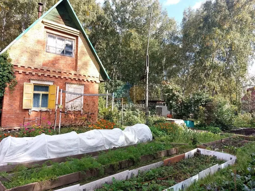 Дом в Омская область, Омск СОСН Мир тер.,  (25 м) - Фото 2