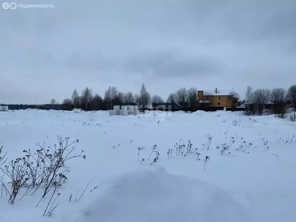 Участок в Костромской район, Кузьмищенское сельское поселение, деревня ... - Фото 0