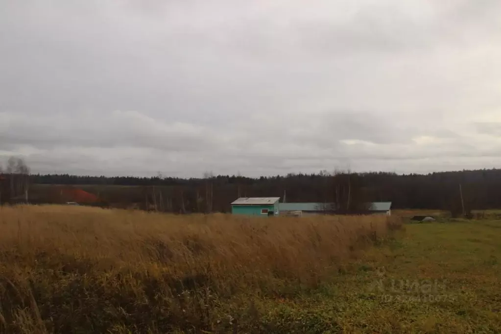 Участок в Московская область, Шаховская муниципальный округ, д. ... - Фото 1