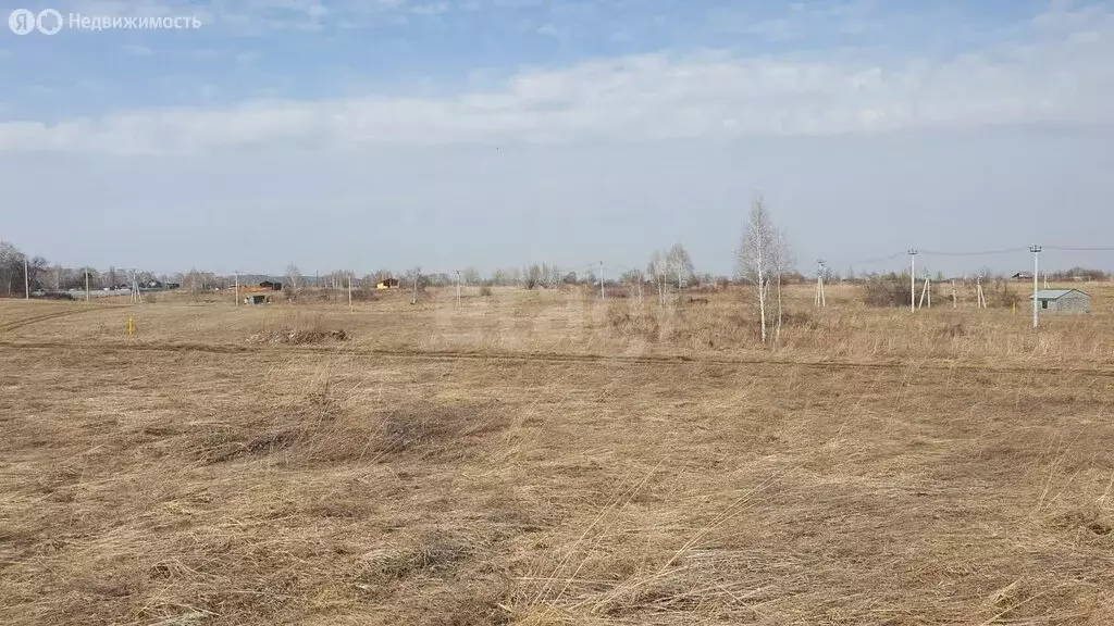 Участок в Кемеровский муниципальный округ, посёлок Новостройка (10 м) - Фото 0