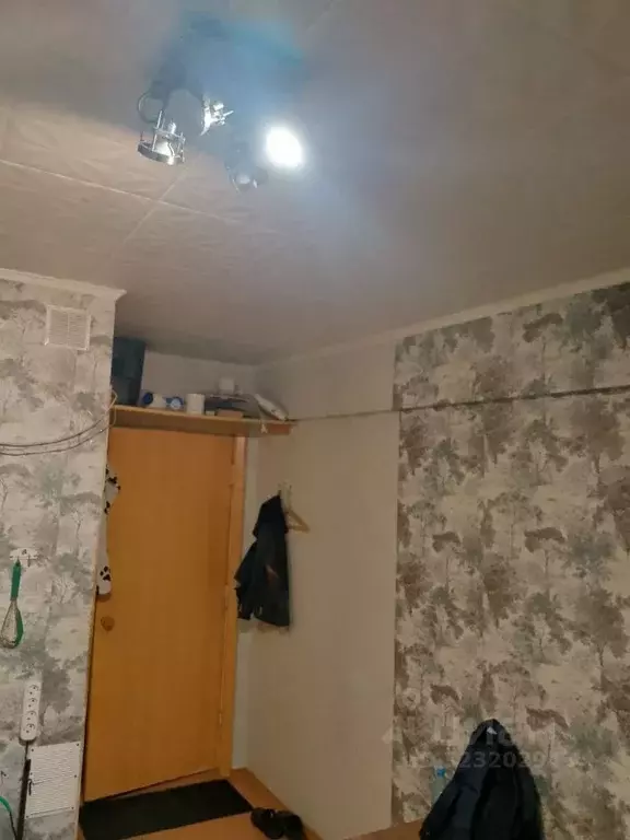 Студия Красноярский край, Красноярск ул. Светлова, 5А (12.0 м) - Фото 2