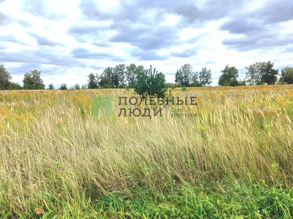 Участок в Орловская область, Кромской район, Большеколчевское с/пос, ... - Фото 2