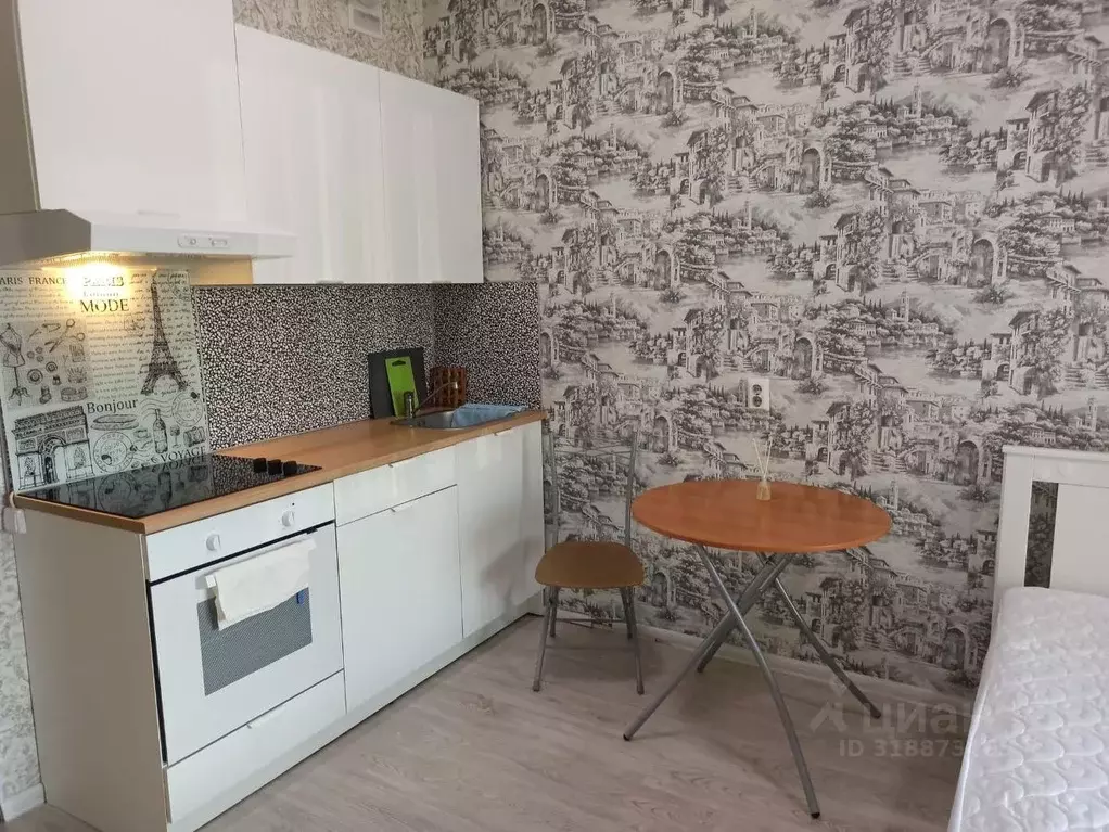 Студия Санкт-Петербург просп. Кузнецова, 14к2 (27.0 м) - Фото 1
