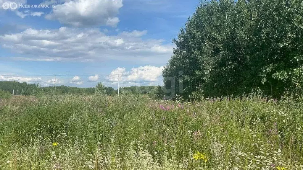 Участок в Нижнетавдинский район, посёлок Торгили (10 м) - Фото 1