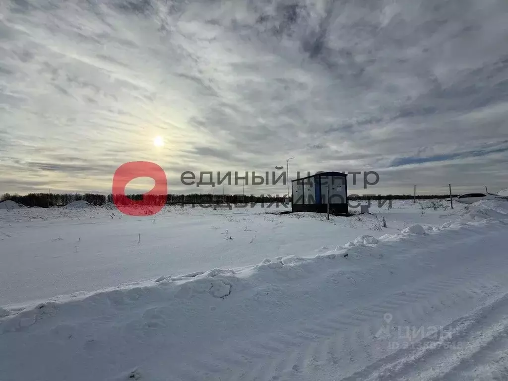 Участок в Тюменская область, Тюменский район, Новокаменский кп ул. ... - Фото 1