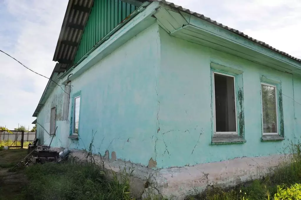 Дом в Амурская область, Благовещенск Худинское тер., ул. Набережная, ... - Фото 1