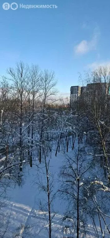 1-комнатная квартира: Одинцово, улица Маршала Бирюзова, 10к1 (36.8 м) - Фото 1