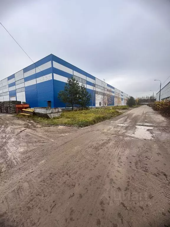 Помещение свободного назначения в Московская область, Домодедово Белые ... - Фото 2