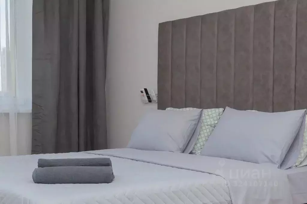 Студия Московская область, Домодедово городской округ, с. Домодедово ... - Фото 2