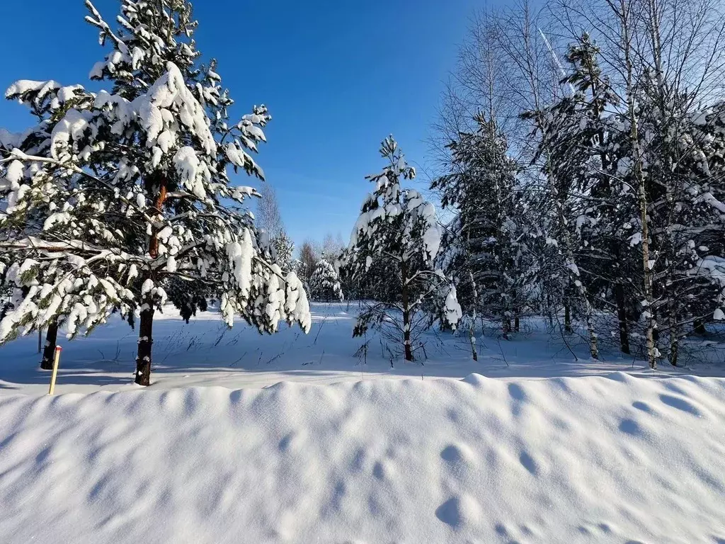 Участок в Московская область, Серпухов городской округ, с. Липицы  ... - Фото 2