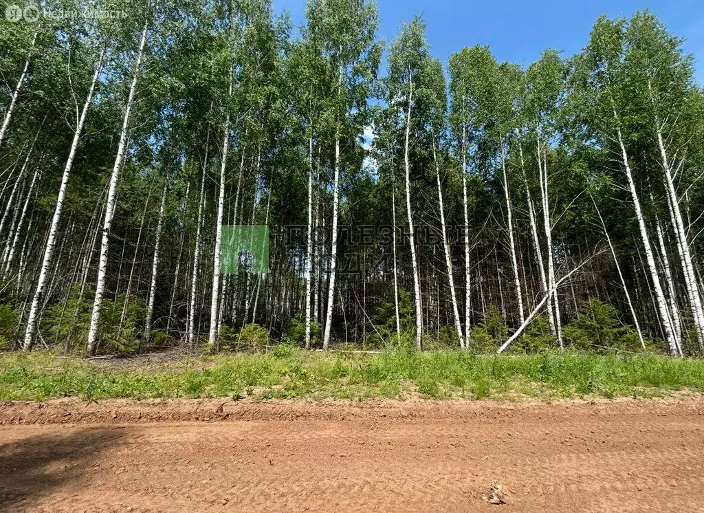 Участок в Воткинский район, СНТ Камадача (10 м) - Фото 1
