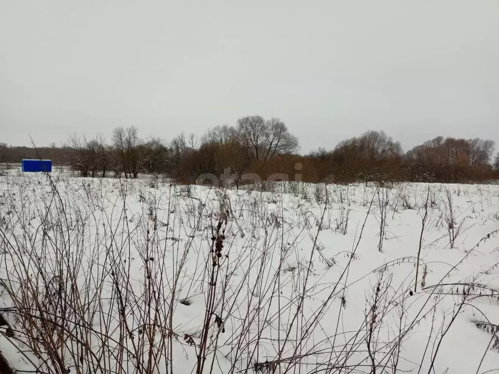 Участок в Калужская область, Бабынинский муниципальный округ, Утешево ... - Фото 1