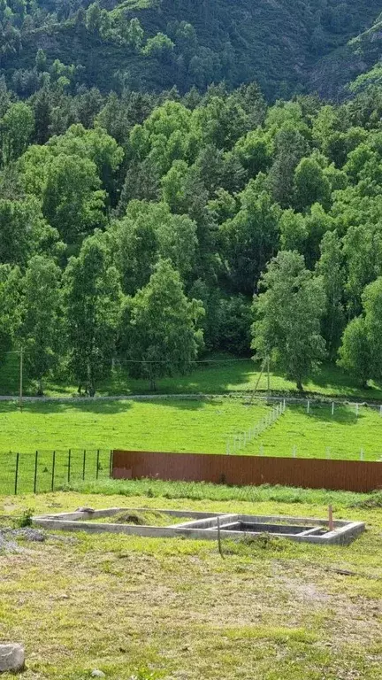 Участок в Алтай, Чемальский район, с. Аюла  (10.0 сот.) - Фото 0