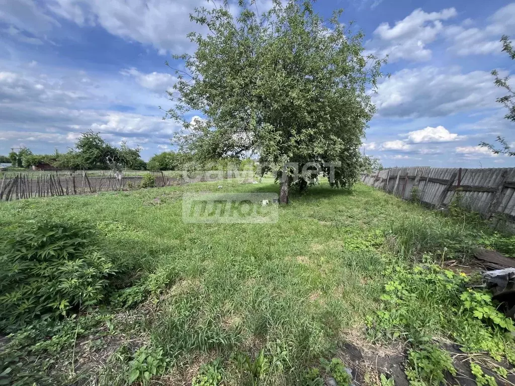 Участок в Курская область, Курский район, Камышинский сельсовет, д. ... - Фото 0