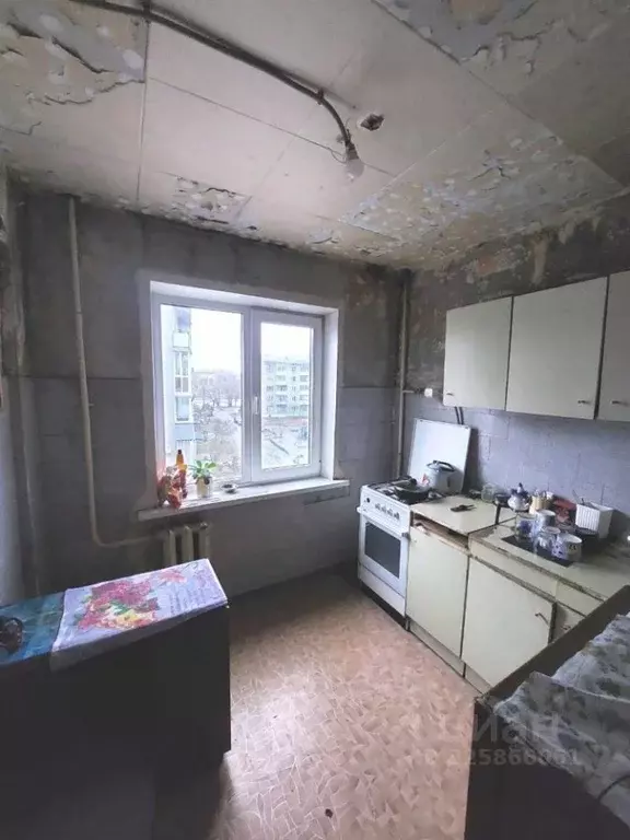 3-к кв. Омская область, Омск Заозерный мкр, ул. Тимофея Белозерова, 11 ... - Фото 2