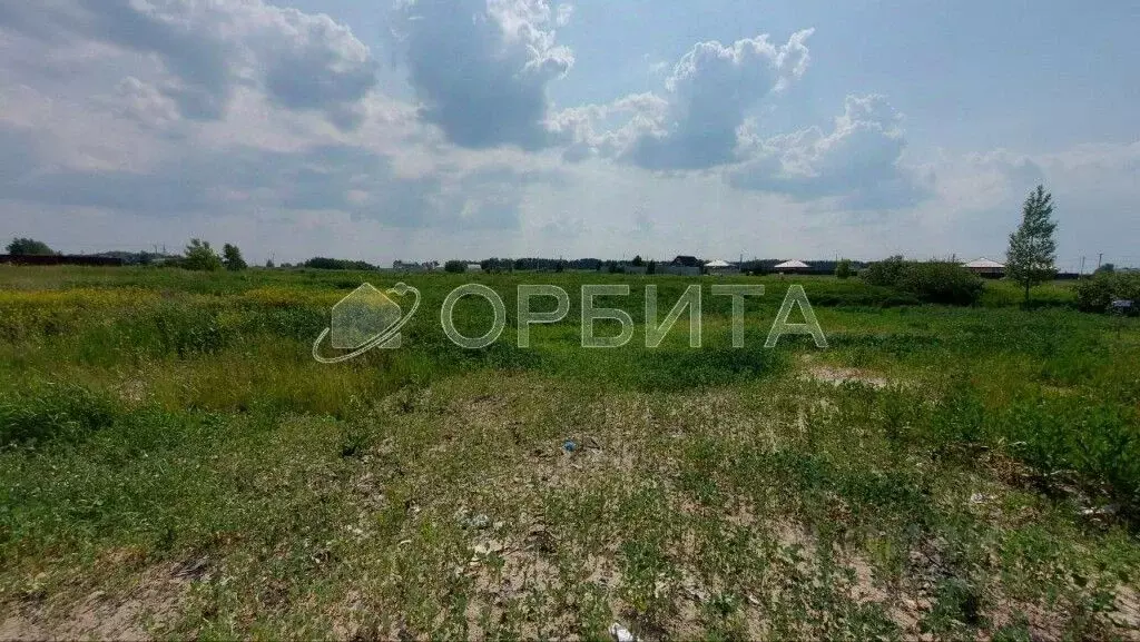 Участок в Тюменская область, Тюменский муниципальный округ, с. Борки  ... - Фото 1