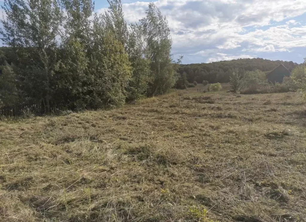 Участок в Московская область, Луховицы муниципальный округ, д. Буково  ... - Фото 1