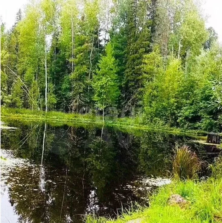 Участок в Ханты-Мансийский АО, Ханты-Мансийск Эколог СОТ,  (10.5 сот.) - Фото 1