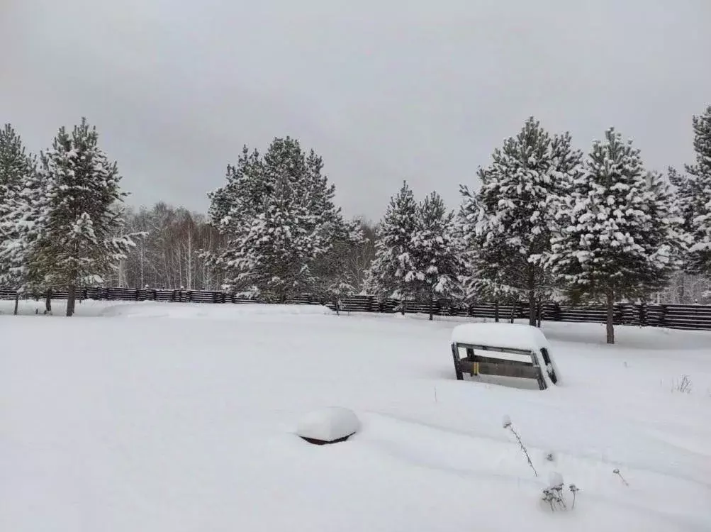 Участок в Иркутская область, Шелеховский район, Баклашинское ... - Фото 2