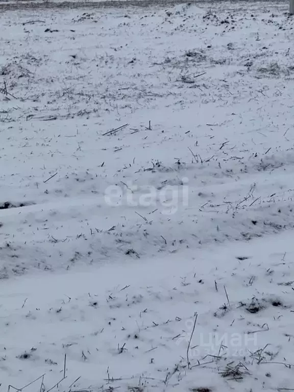Участок в Белгородская область, Белгородский район, Головинское с/пос, ... - Фото 1