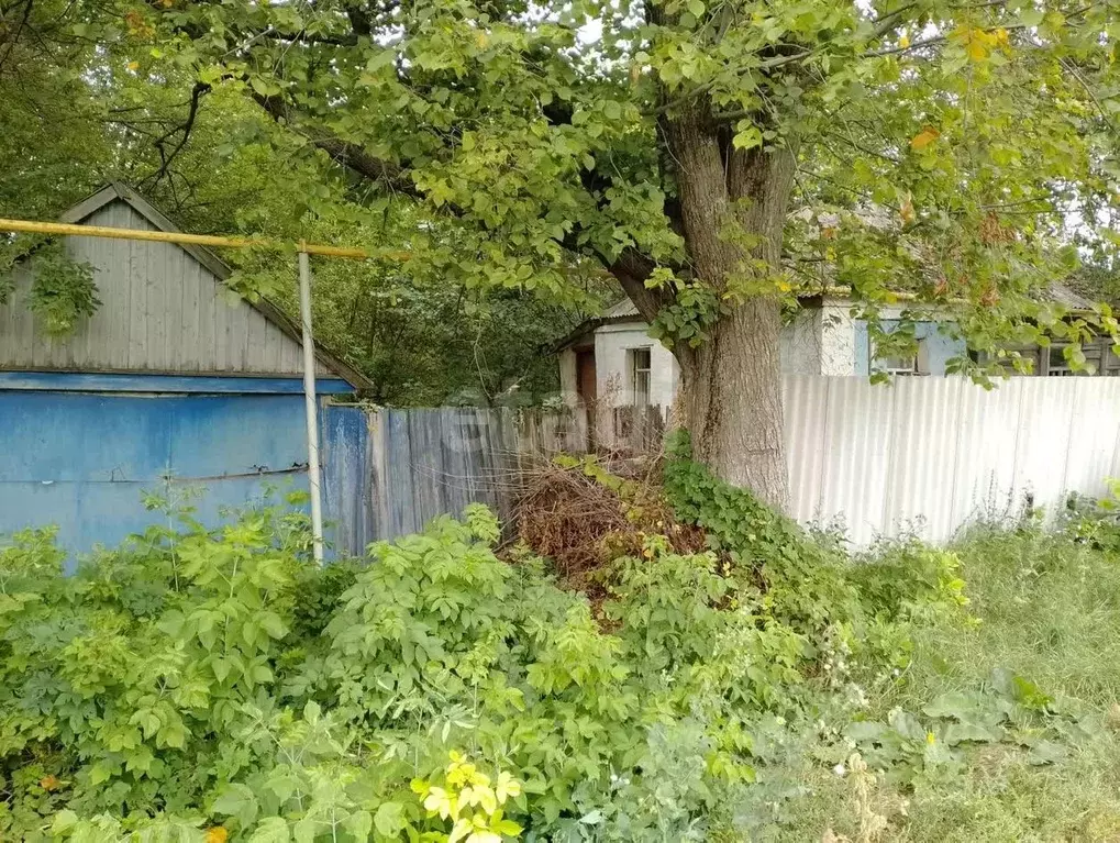 Дом в Белгородская область, Корочанский муниципальный округ, с. ... - Фото 1
