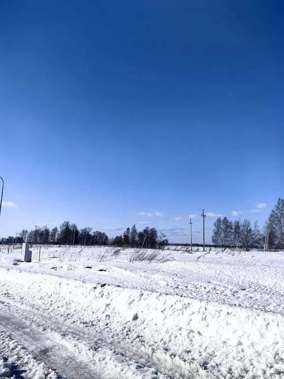 Участок в Алтайский край, Барнаул  (8.5 сот.) - Фото 2
