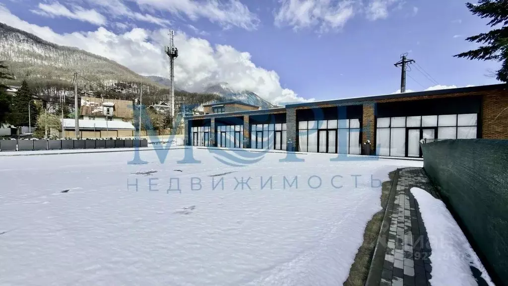 Помещение свободного назначения в Краснодарский край, Сочи Красная ... - Фото 1