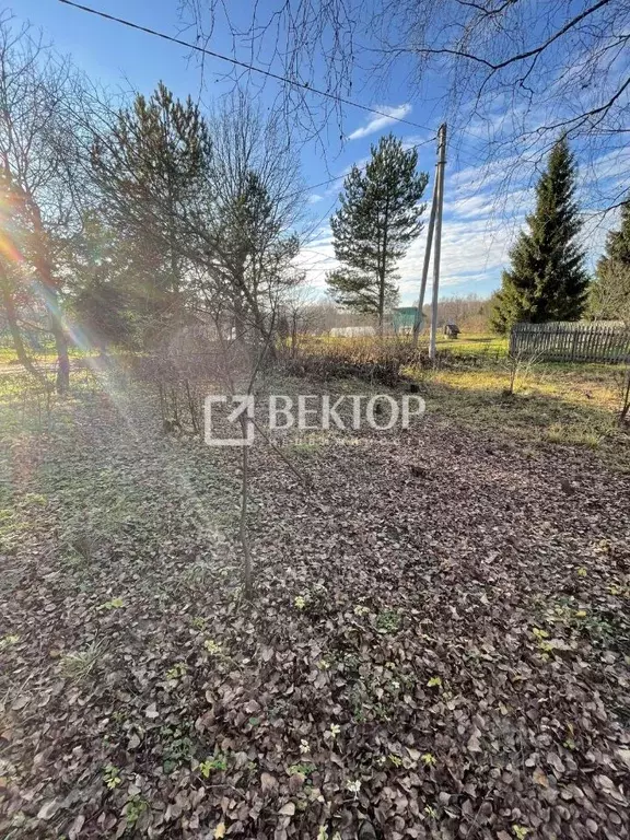 Дом в Костромская область, Костромской район, Бакшеевское с/пос, д. ... - Фото 1