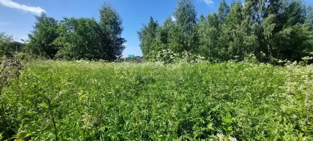 Участок в Вологодская область, пос. Сосновка  (9.0 сот.) - Фото 2