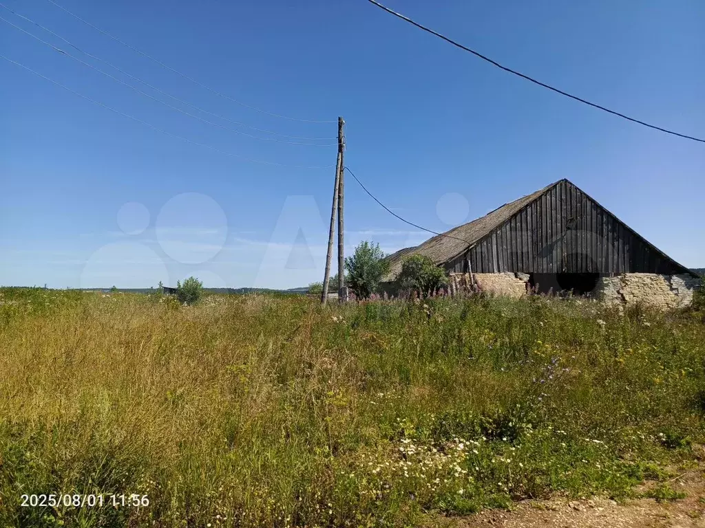 Участок 3,2 га (СНТ, ДНП) - Фото 1