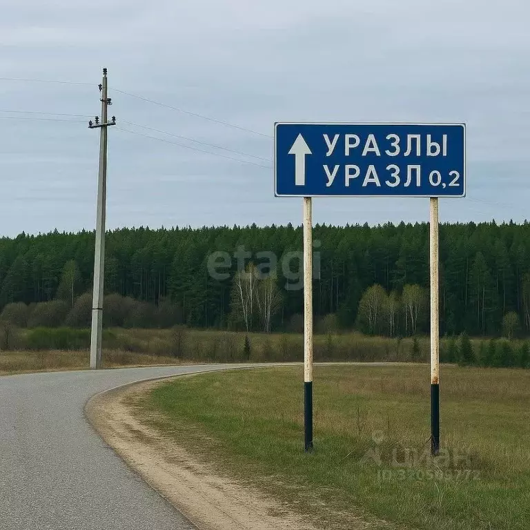 Участок в Татарстан, Зеленодольский район, Большеякинское с/пос, с. ... - Фото 2