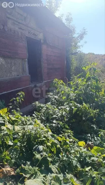 Участок в Балашов, микрорайон Комбината плащевых тканей (10 м) - Фото 1