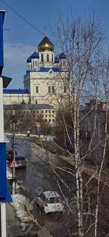 2-к кв. Липецкая область, Елец ул. Пушкина, 123 (50.0 м) - Фото 2