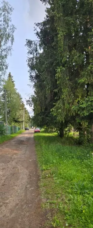 Участок в Московская область, Солнечногорск городской округ, д. Холмы ... - Фото 1