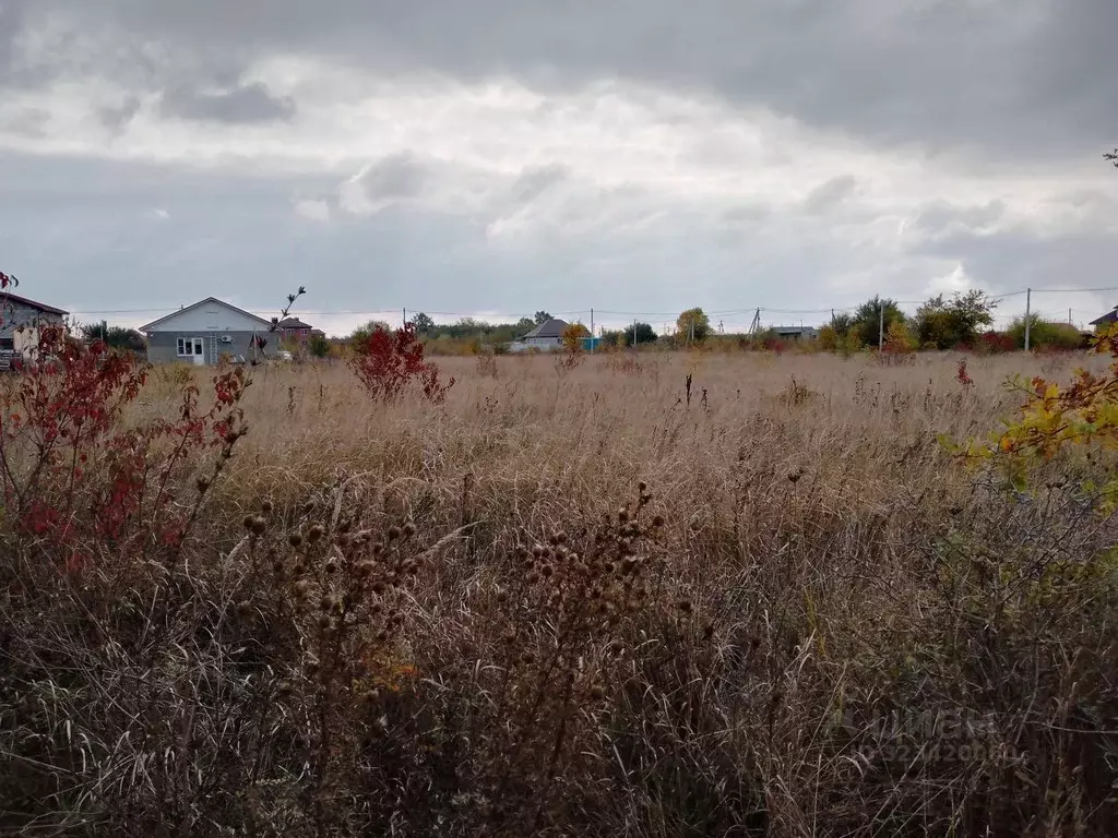 Участок в Краснодарский край, Динской район, с. Красносельское, ... - Фото 1