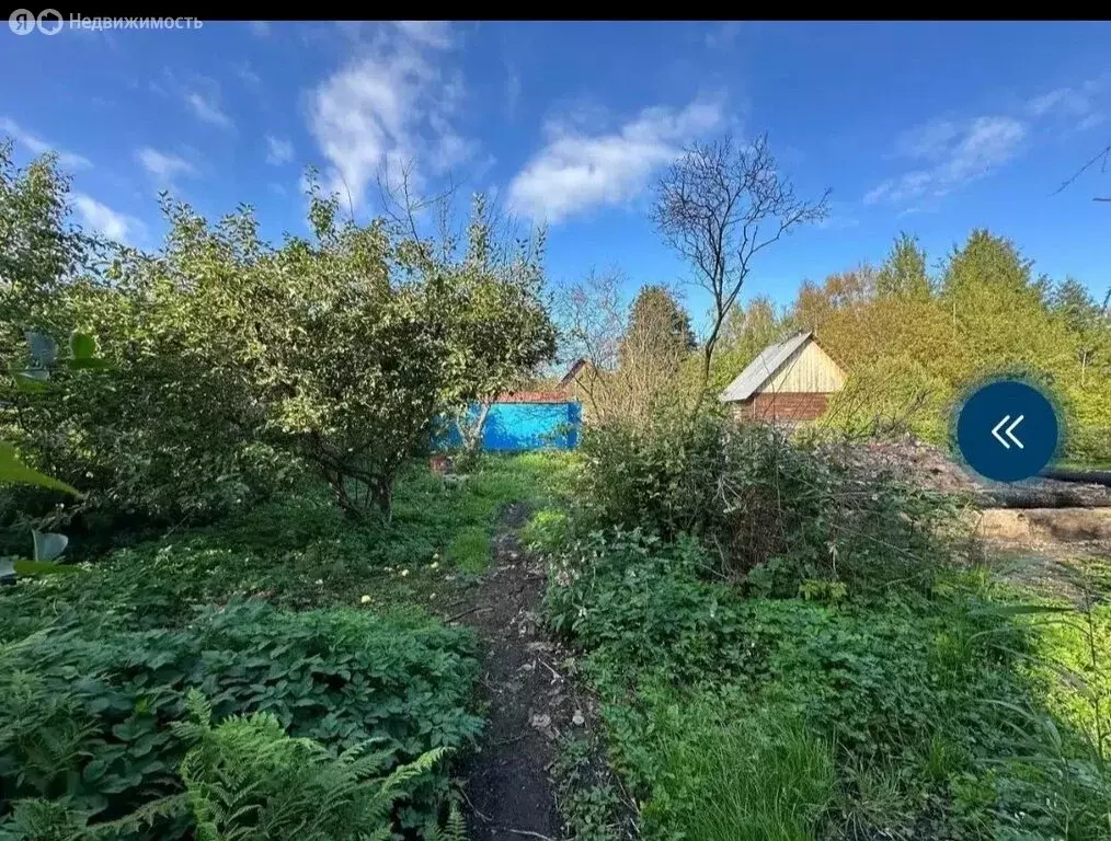 Участок в Мгинское городское поселение, садоводческий массив ... - Фото 1