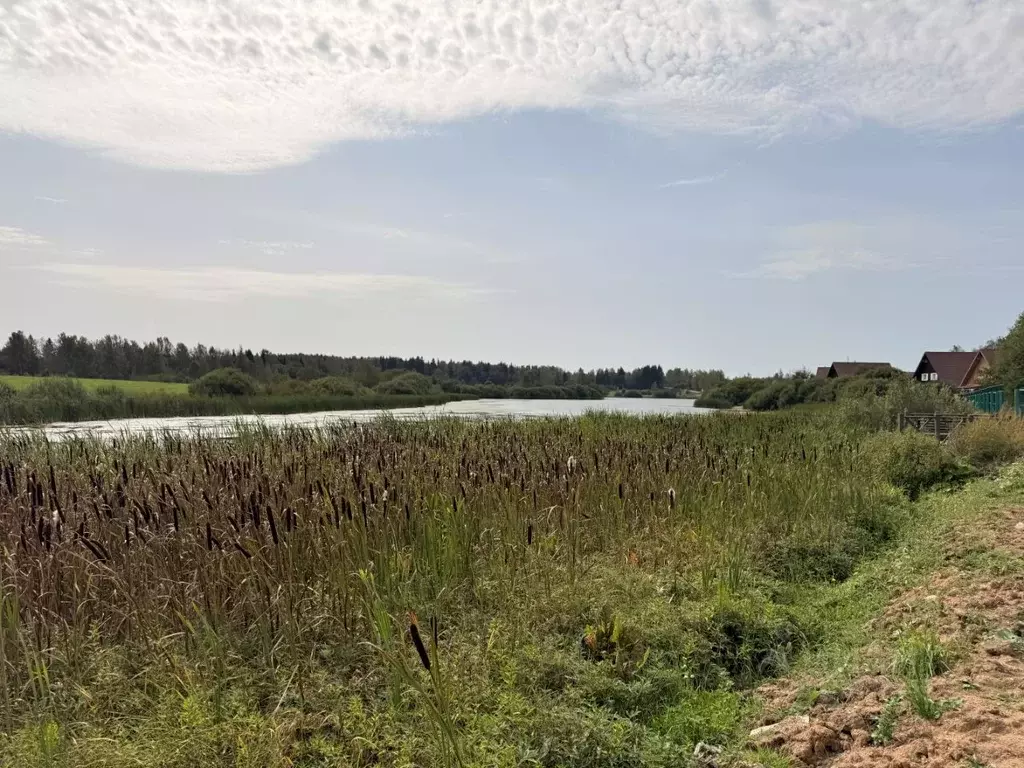 Участок в Московская область, Дмитровский муниципальный округ, д. ... - Фото 2