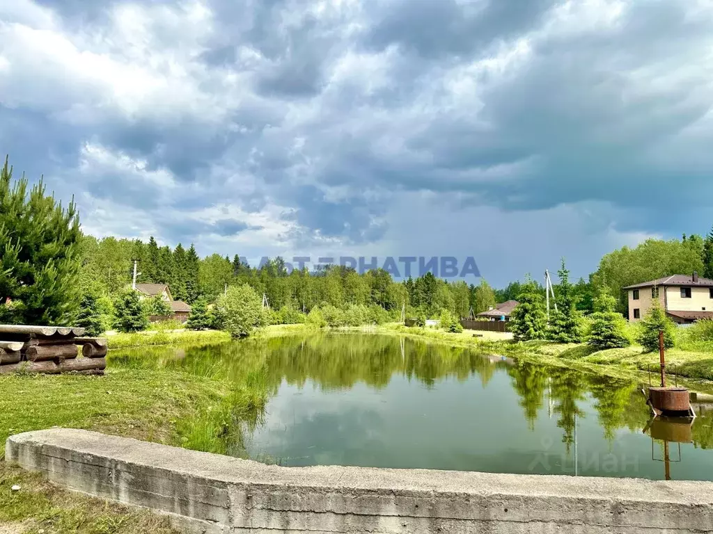 Участок в Ярославская область, Переславль-Залесский муниципальный ... - Фото 1