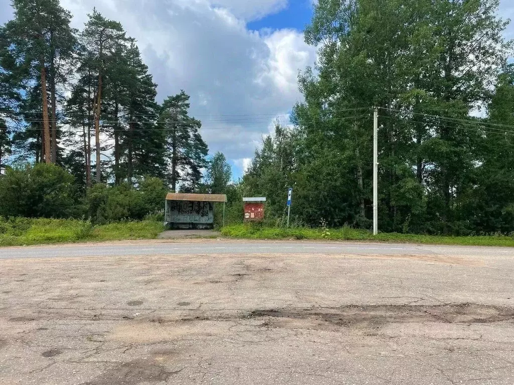 Участок в Новгородская область, Окуловка Славная ул., 26 (302.1 сот.) - Фото 1