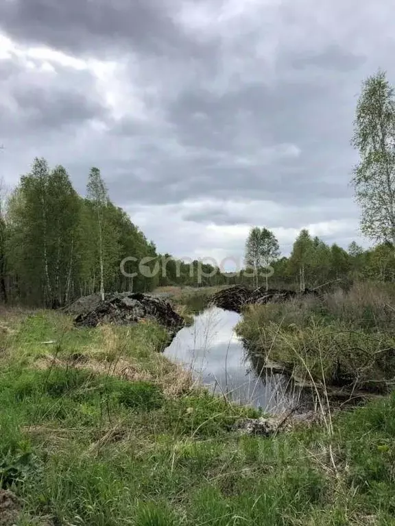 Участок в Тюменская область, Нижнетавдинский район, Сундукуль СНТ  ... - Фото 0