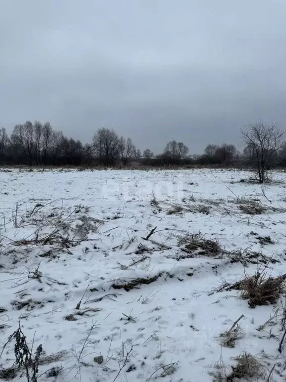 Участок в Башкортостан, Уфимский район, Михайловский сельсовет, д. ... - Фото 2