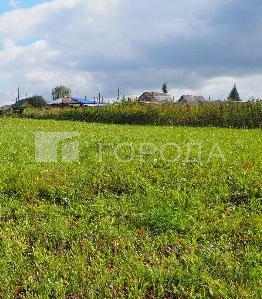 Участок в Новосибирская область, Новосибирский район, Новолуговской ... - Фото 0